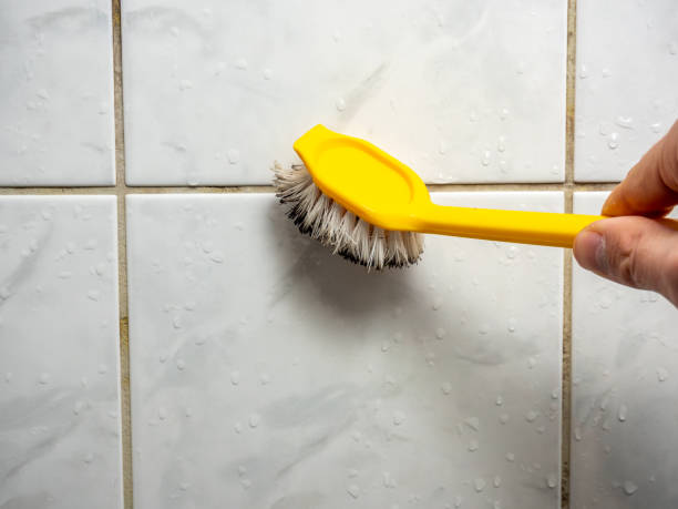 Best DIY Mold Remediation Support Services in Harlem, FL
