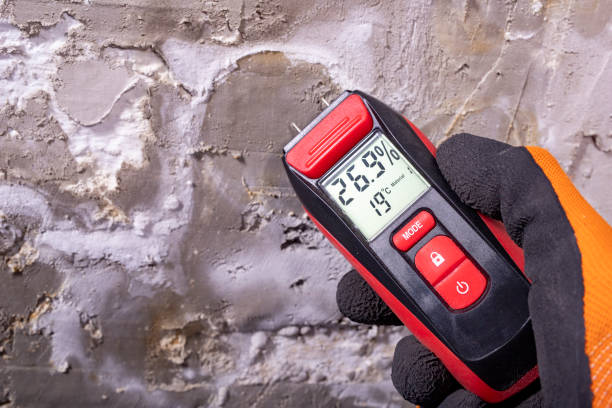 Best HVAC Mold Remediation in Harlem, FL